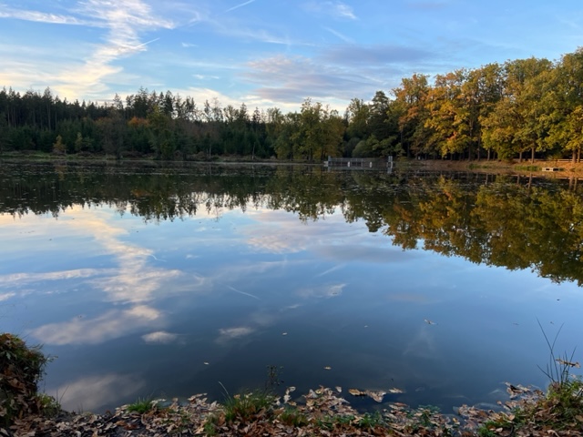 Adamovský rybník - Areál Adamec - foto 2