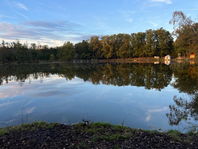 Adamovský rybník - Areál Adamec - foto 3