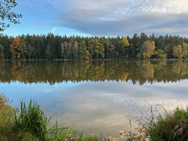 Adamovský rybník - Areál Adamec - foto 4