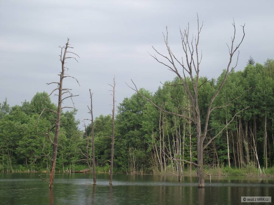 Adošov - foto 2
