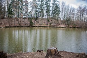 Břeskáč - foto 5