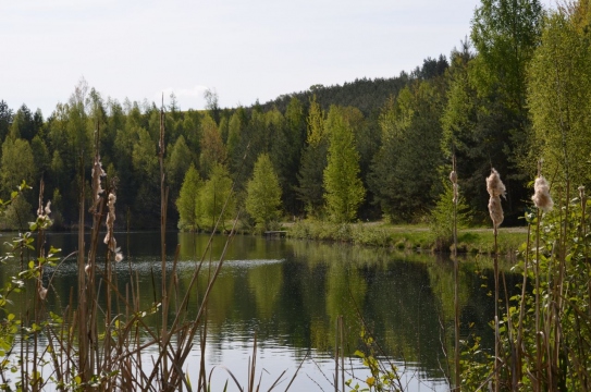 Jezero Lom Radnice - foto 2