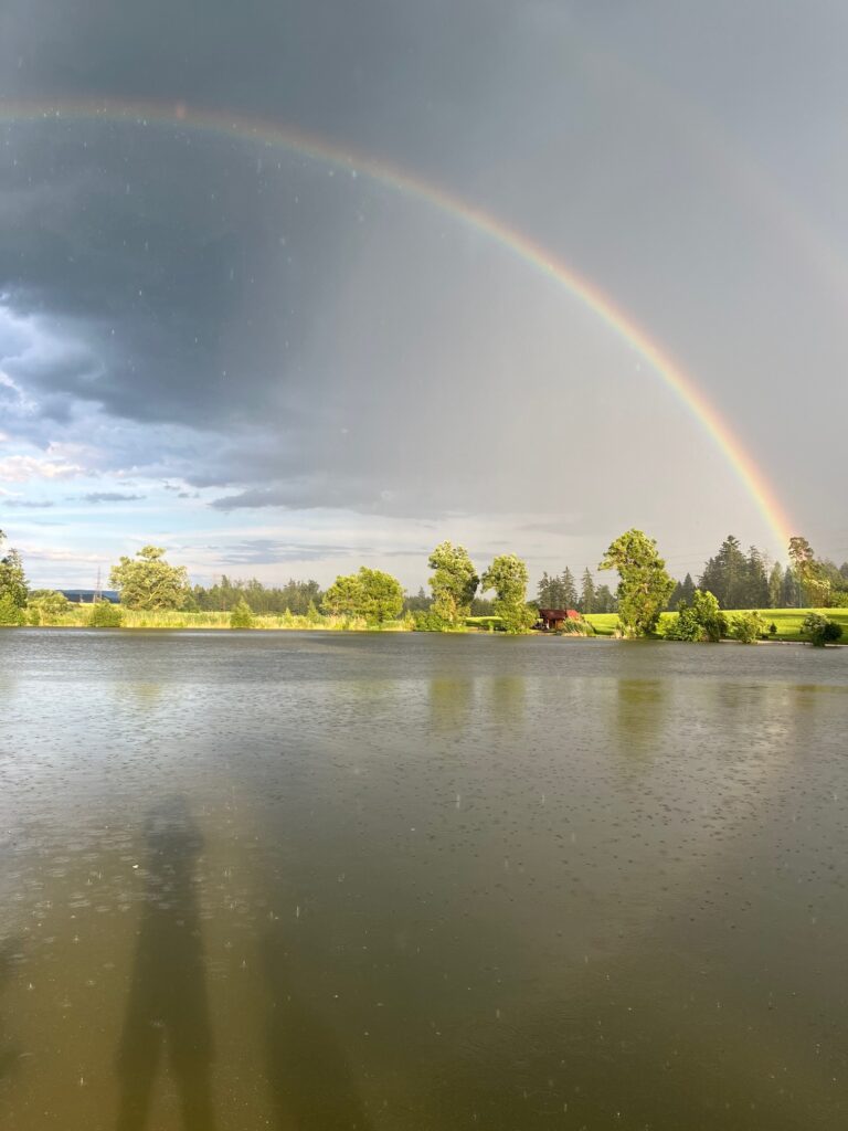 Nový rybník - Dlouhoňovice u Žamberka - foto 2
