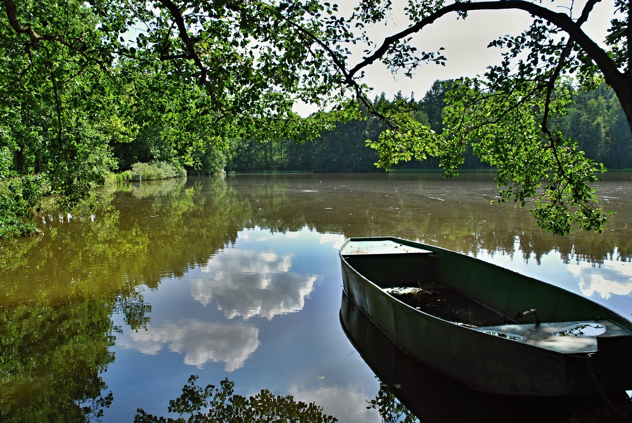 Rybniční hospodářství Lípa nad Orlicí - foto 3