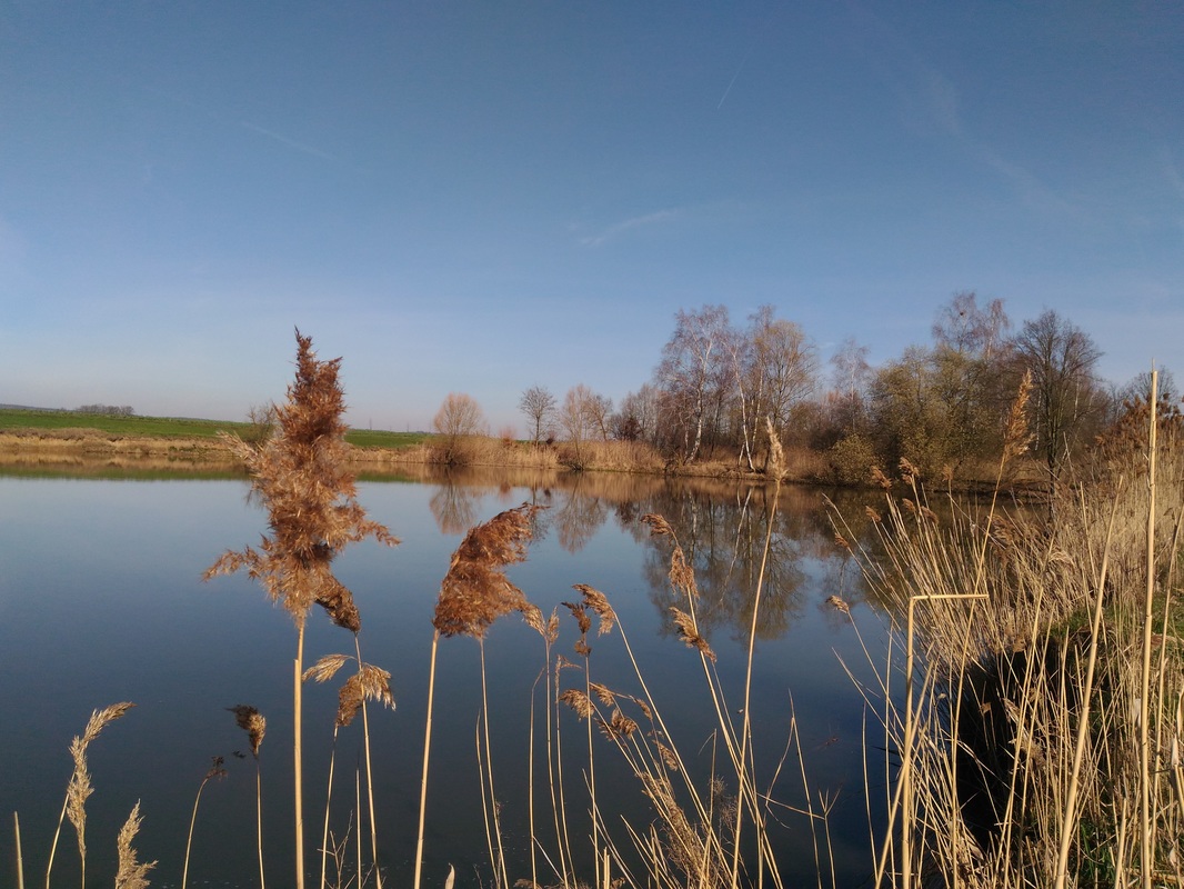Rybník Buda - foto 2