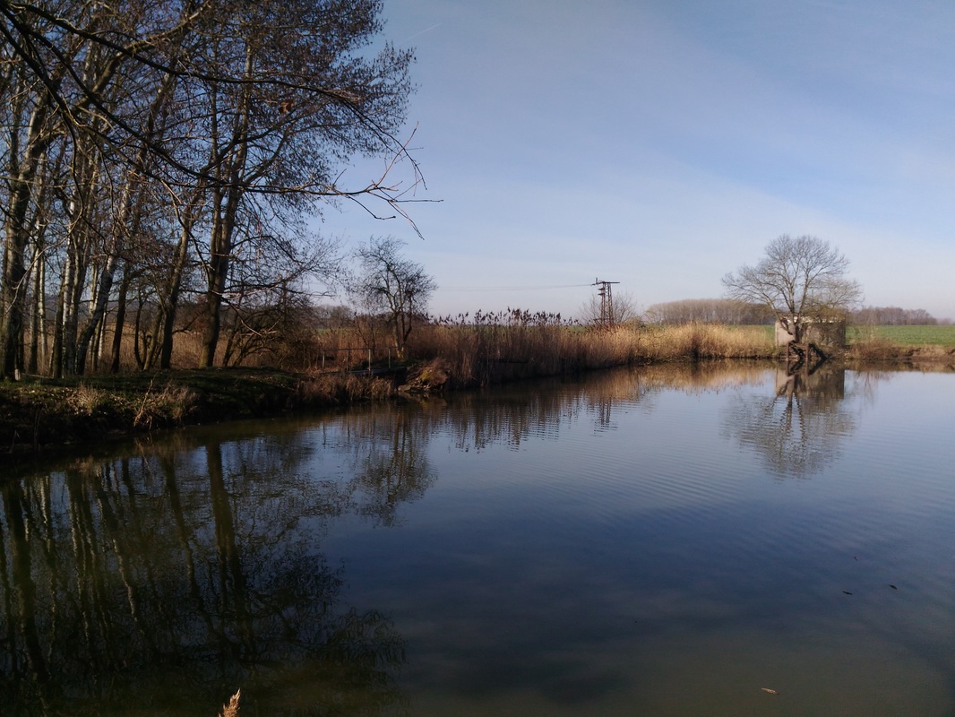 Rybník Buda - foto 4