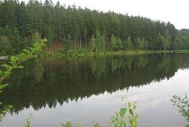 Rybník Bušek Velhartice - foto 3