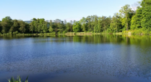 Rybník Chlumec - foto 2
