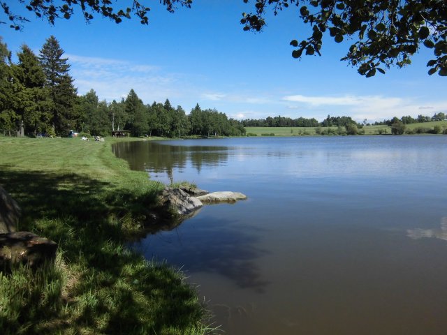 Rybník Plodový, Řásná - foto 2
