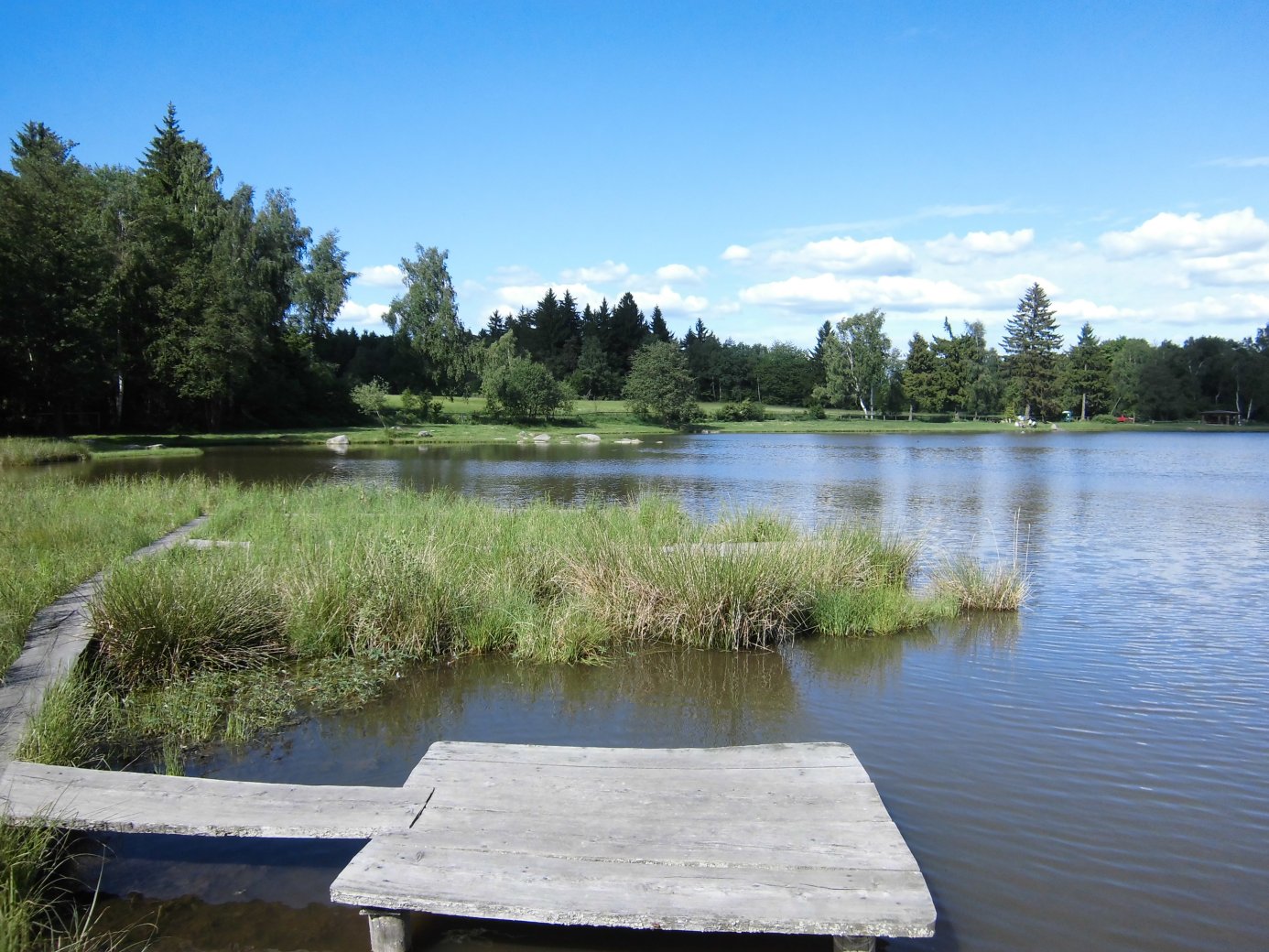 Rybník Plodový - foto 3