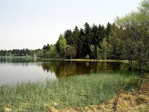 Rybník Sykovec - foto 2