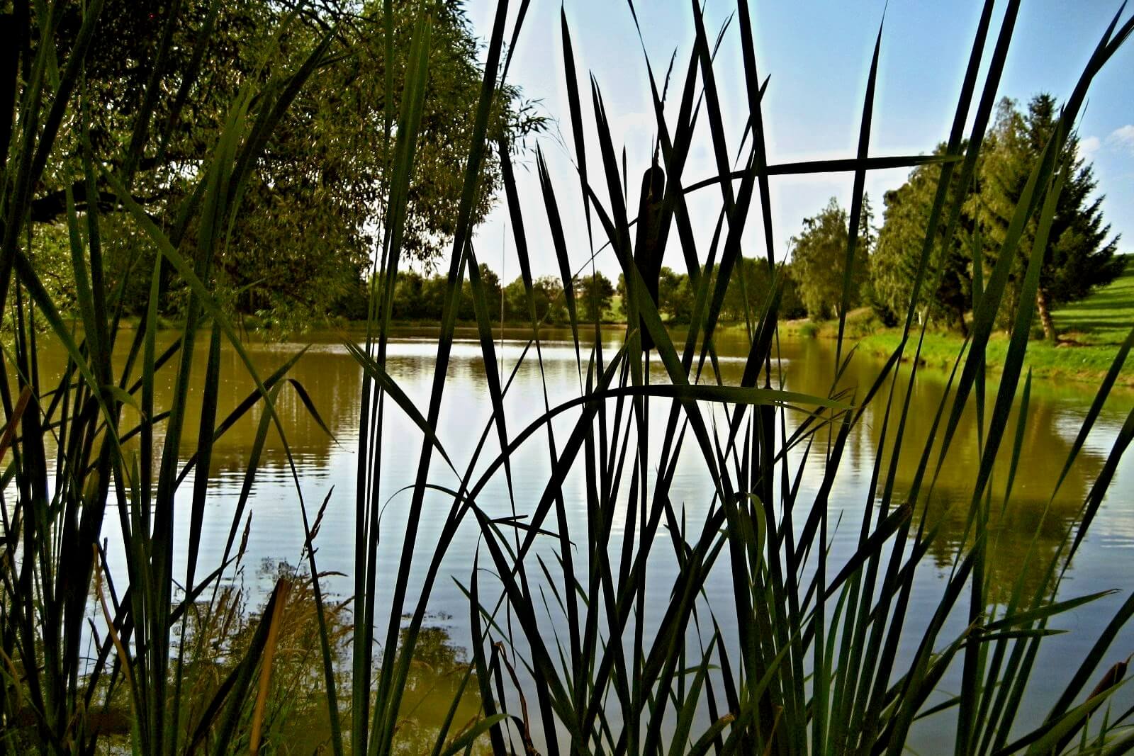 Galerie