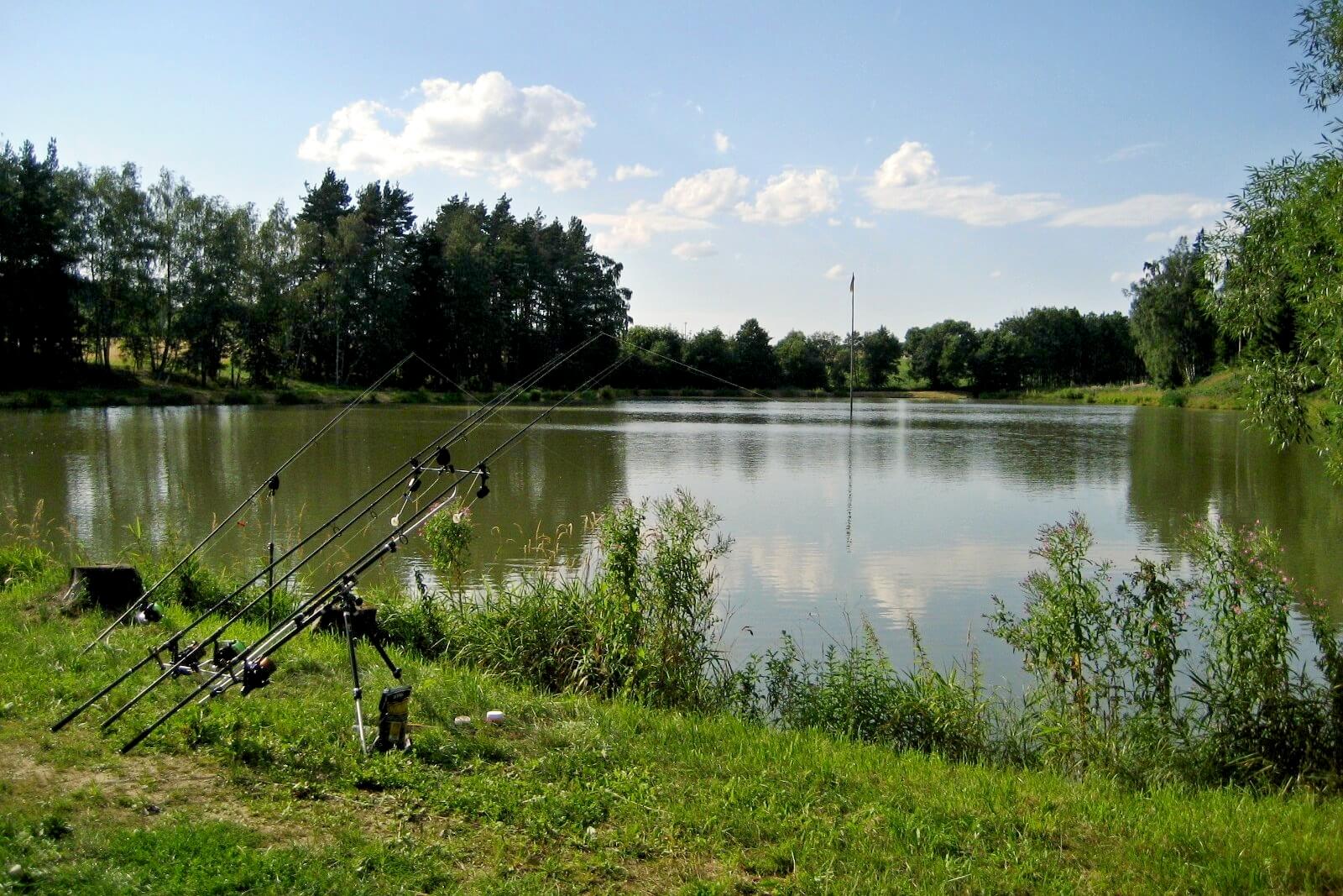 Rybník Tábor - Vysočina - foto 5