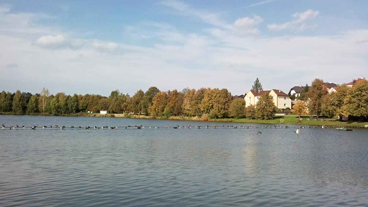 Rybolov Krašovice - foto 5