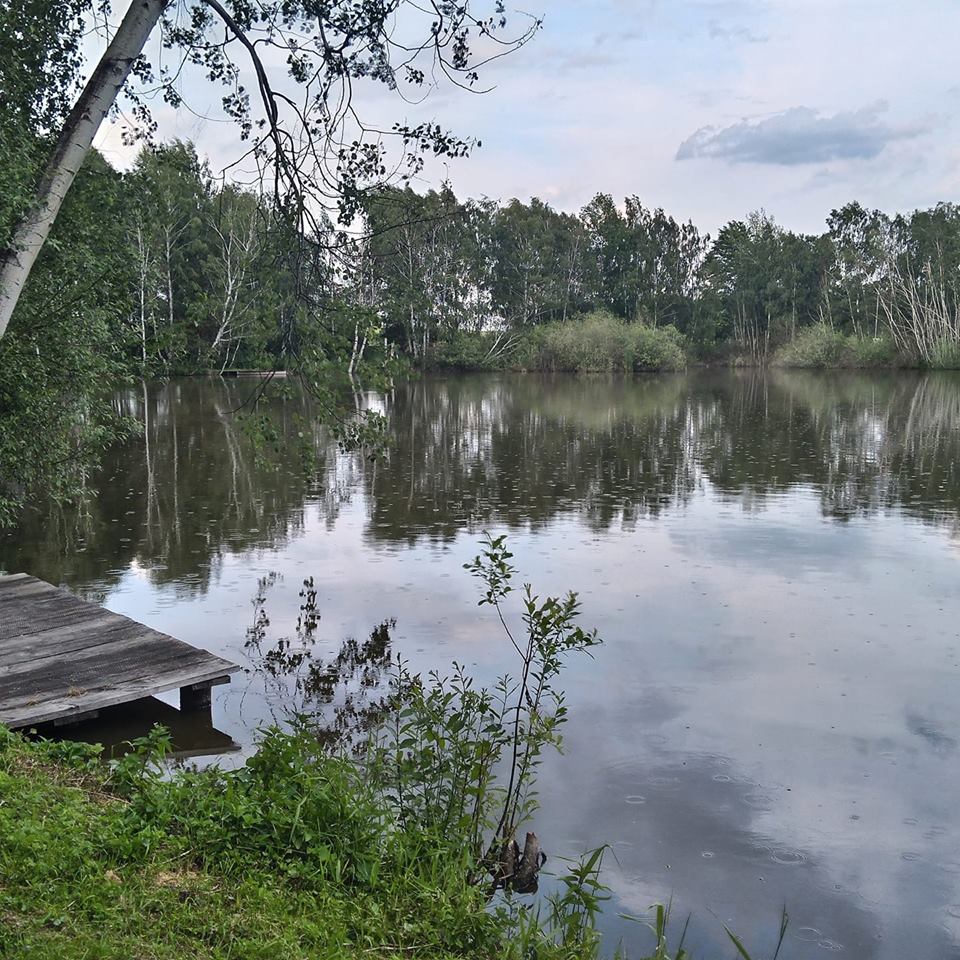 Sportovní rybolov Rašelina - foto 2